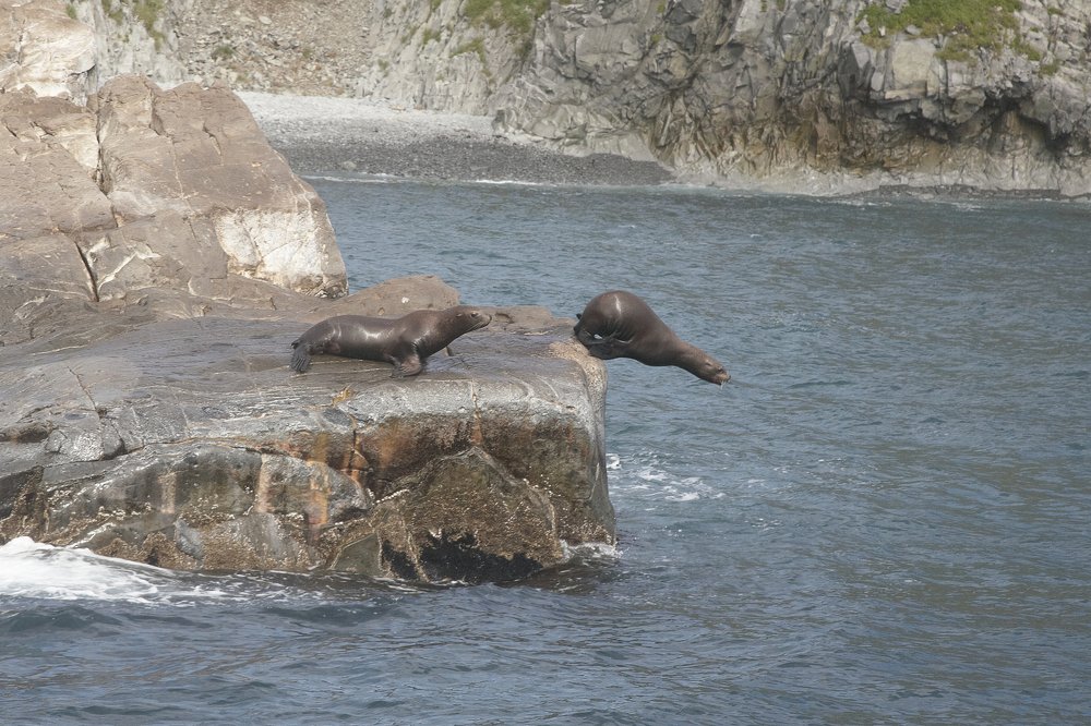 Photograph by Анастасия Тупицына