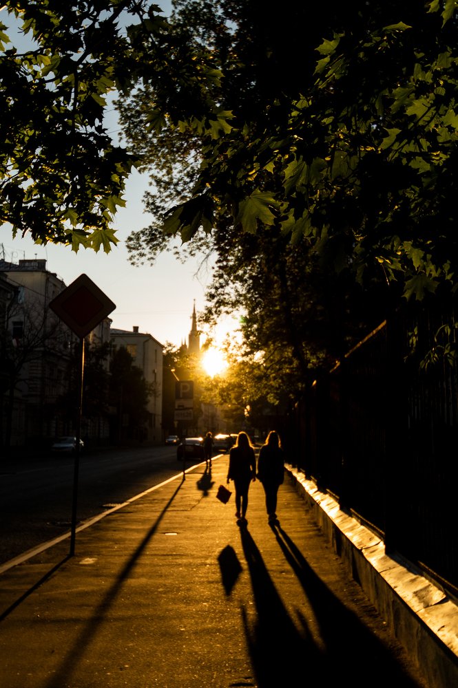 Photograph by Никита Колеганов