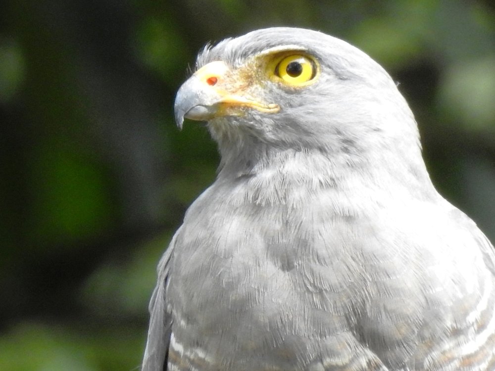 Photograph by Augusto Muñoz Bonilla