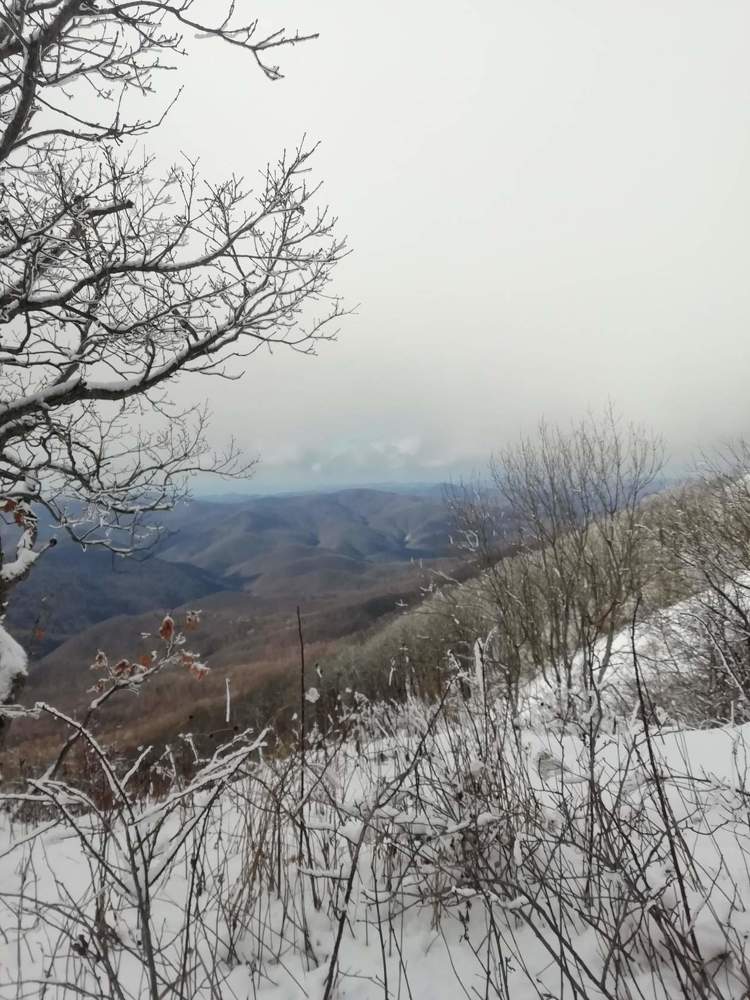 Photograph by Кристина Усович