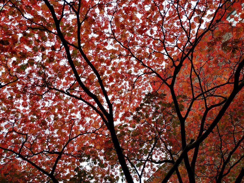Photograph by Алексина Алексина