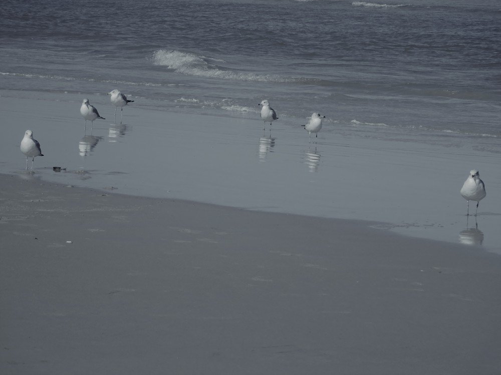 Photo #4267165