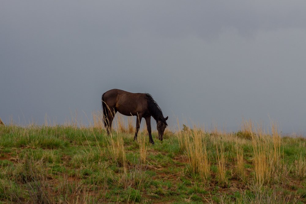Photograph by Lebohang Monamoleli
