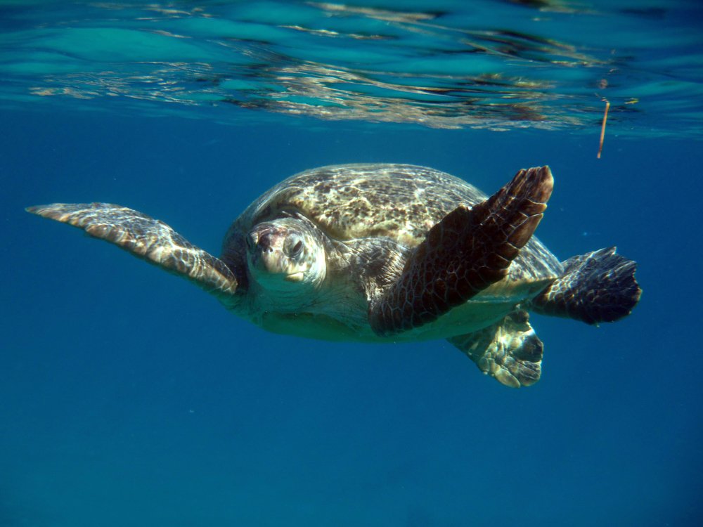 Photograph by Anna Koroleva