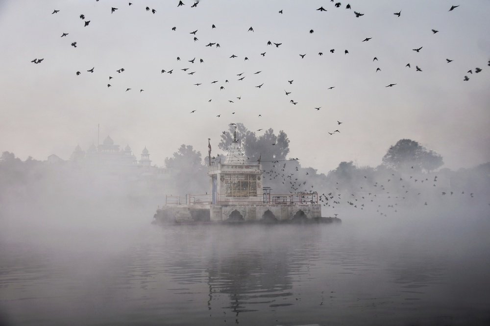 Photograph by Lakshya Dengra