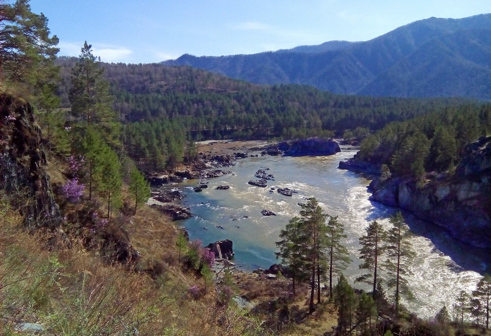 Photograph by tolik54