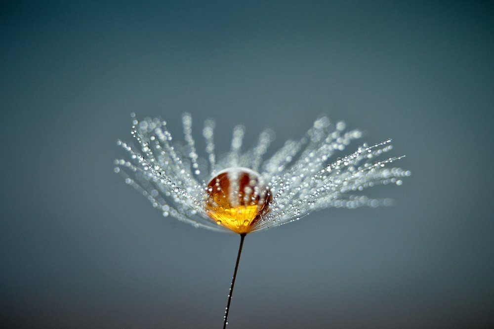 Photograph by Юлия Хаванова