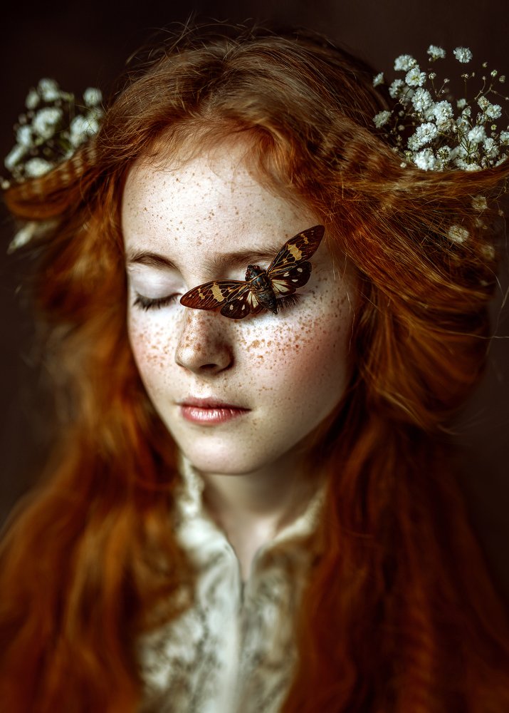 find comfort in the chaos