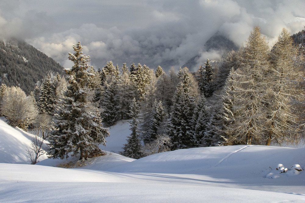 Photograph by Евгений