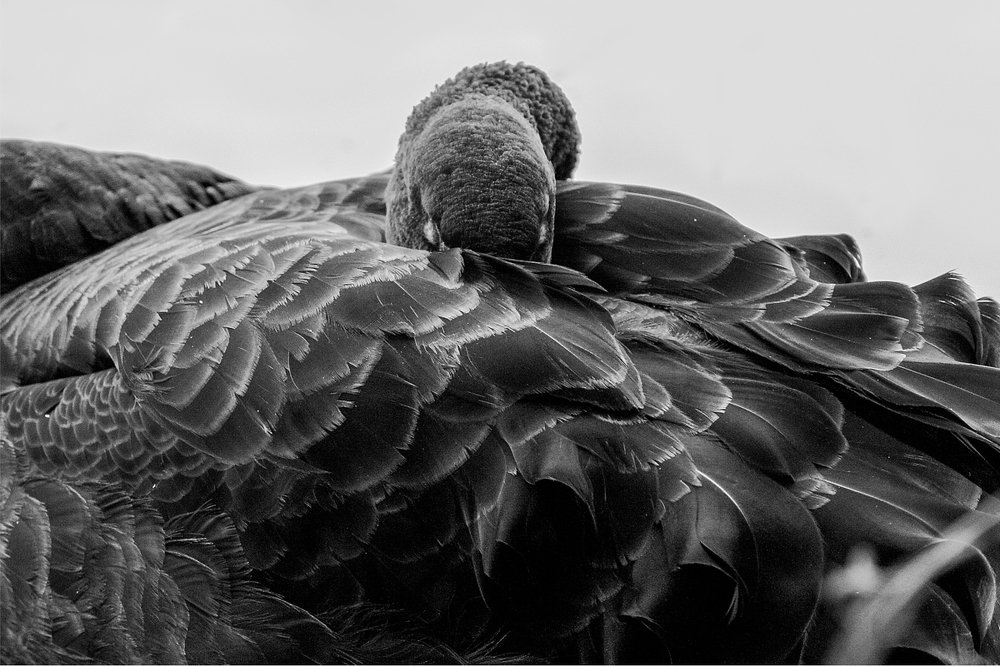 Photograph by Ludmila Buyanova