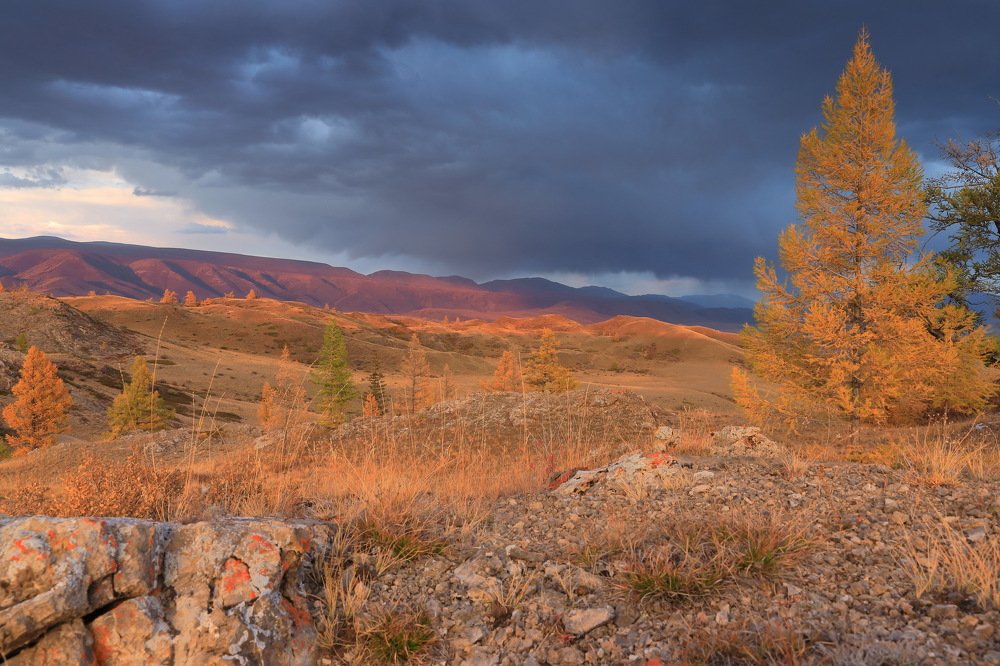 Photograph by Евгения Чех