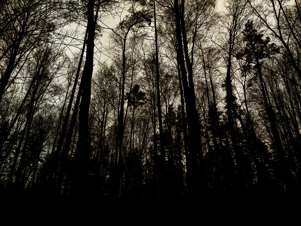 Photograph by Кристина Вингре