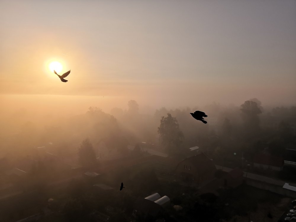 Туманное утро августа.