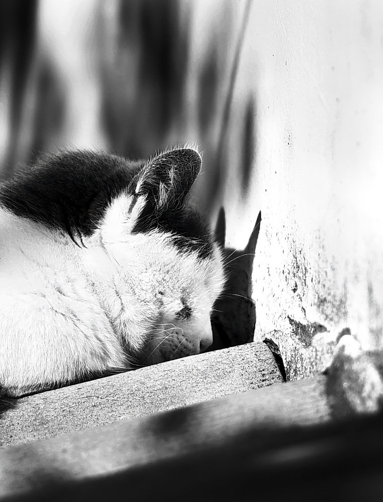 Грустно, до чертиков...