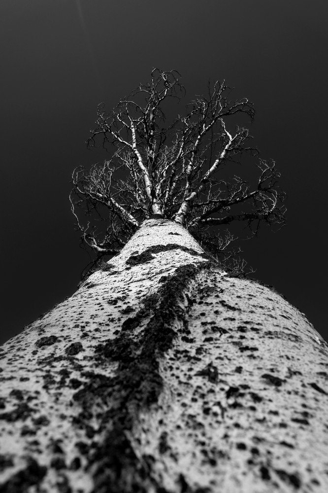 Photograph by Марина Шамич