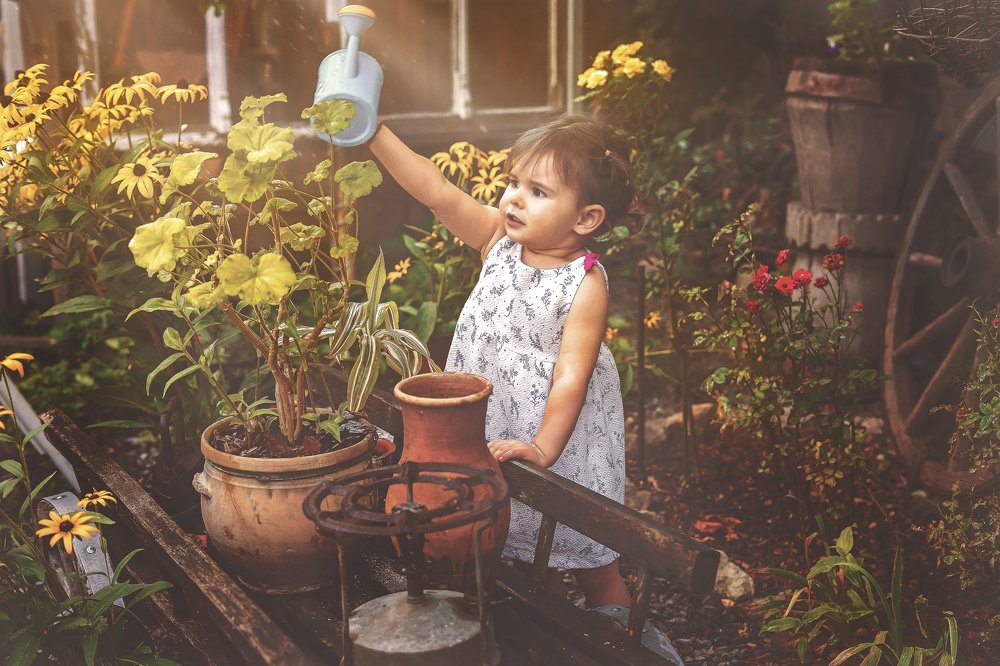 Photograph by Мария Харченко