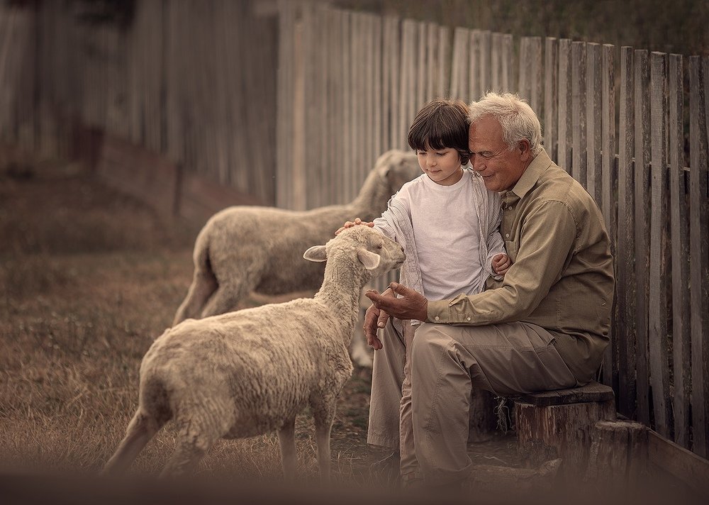 Фотография автора Дарья Степанова