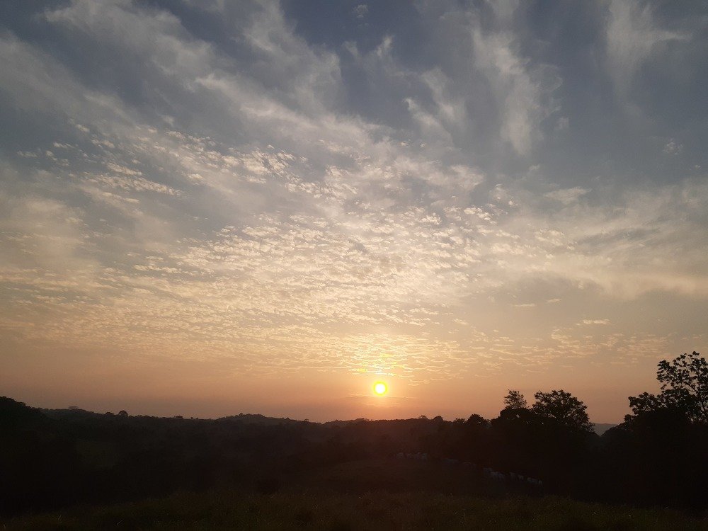 Photo #4268226