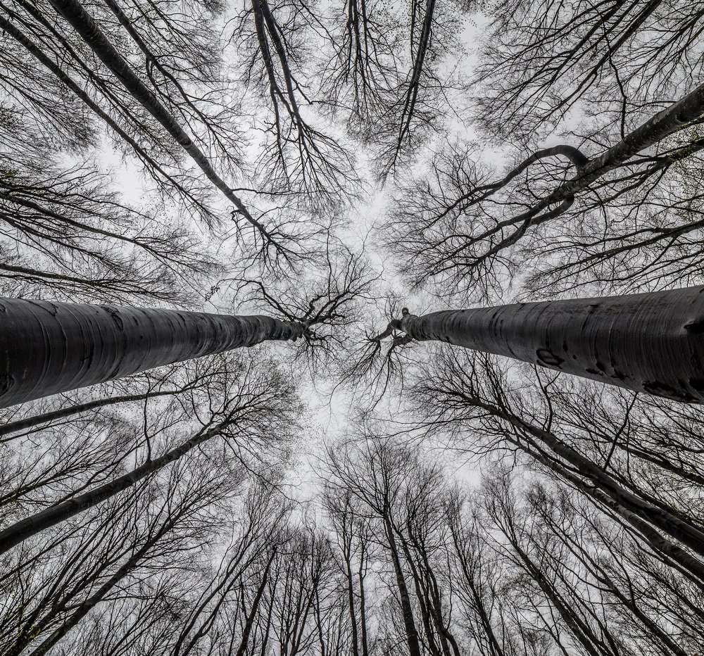 Фотография автора Konstantin Vladov