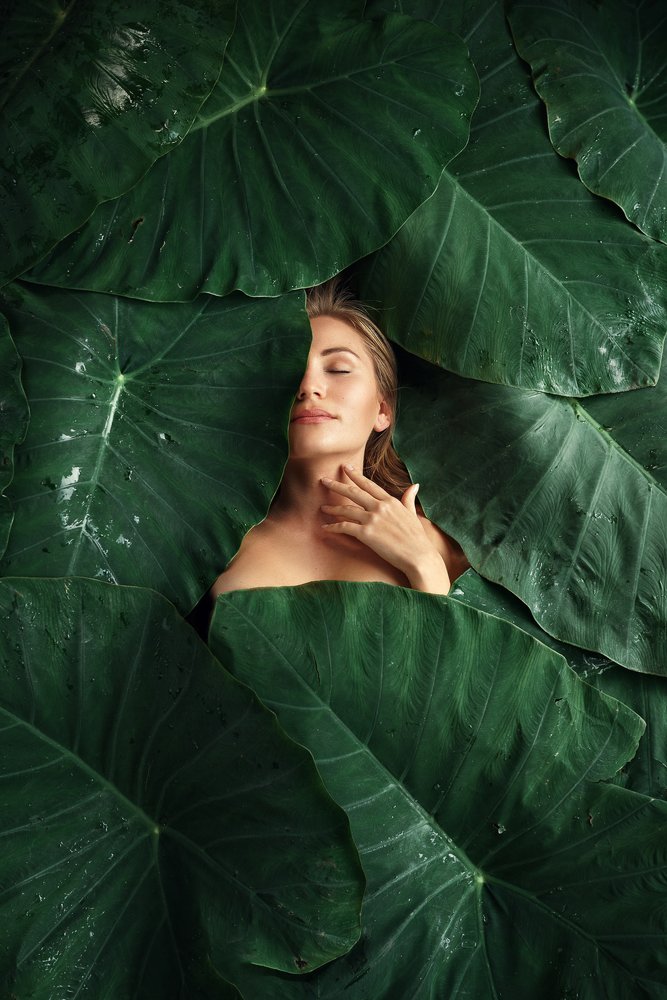 Фотография автора Дмитрий Шешуков