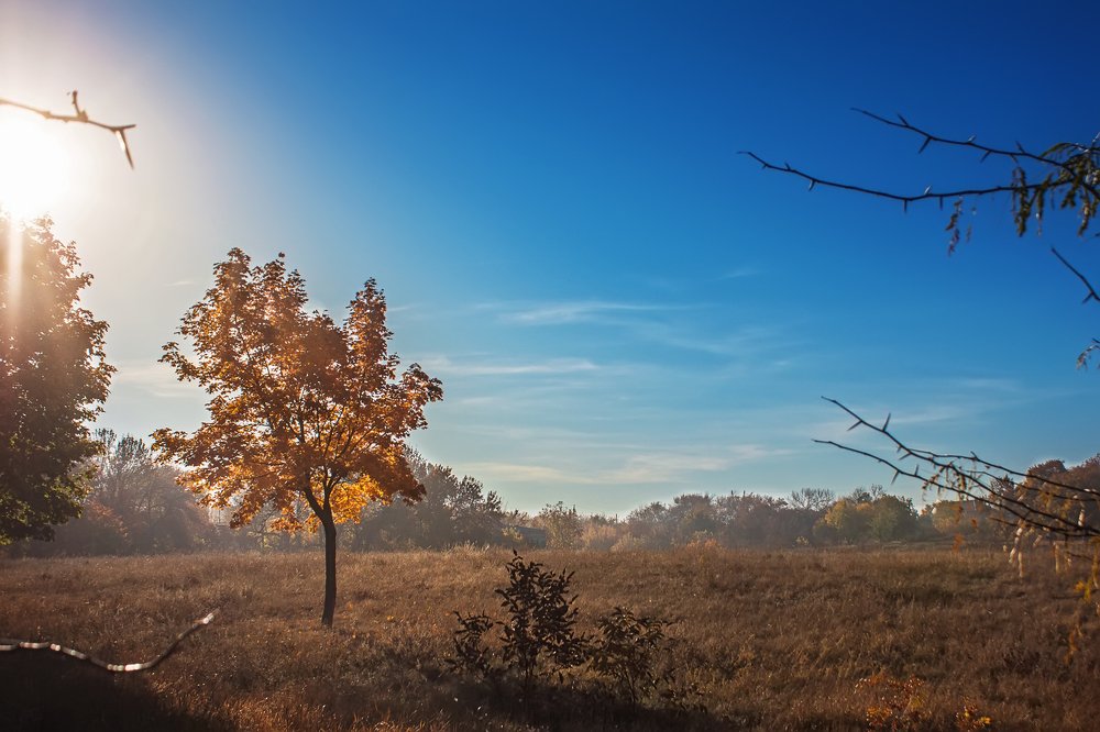Photograph by Александр Линник
