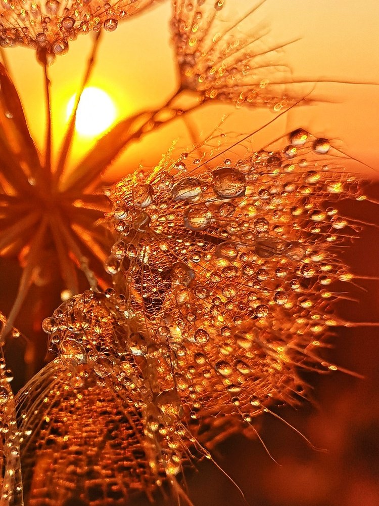 Photograph by Елена Николаева