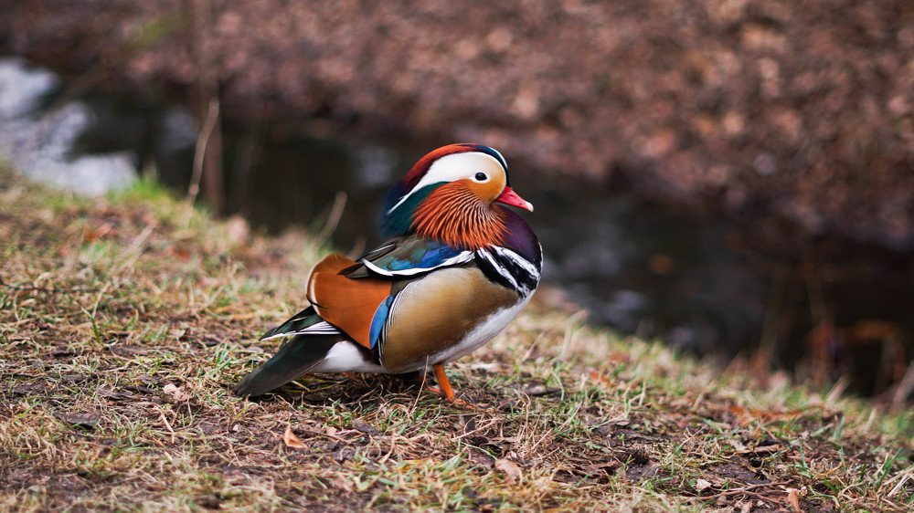 Photograph by Olexandr Kazinskiy
