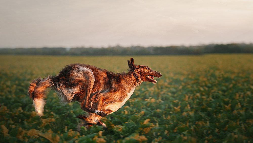 Photograph by Наташа Алехина