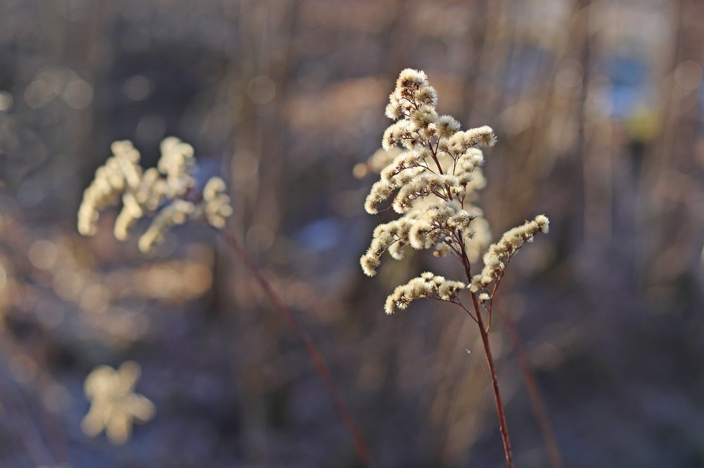 Проснувшийся апрель