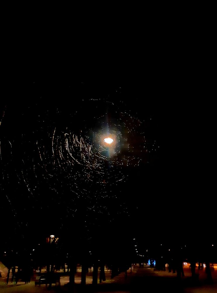 Звезды рядом