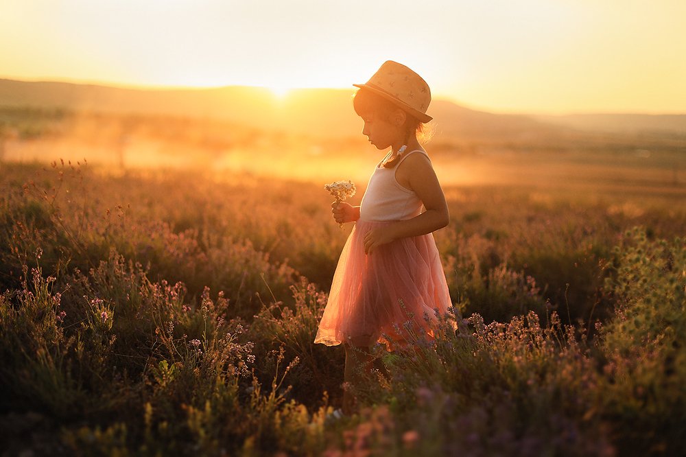 Лавандовый закат