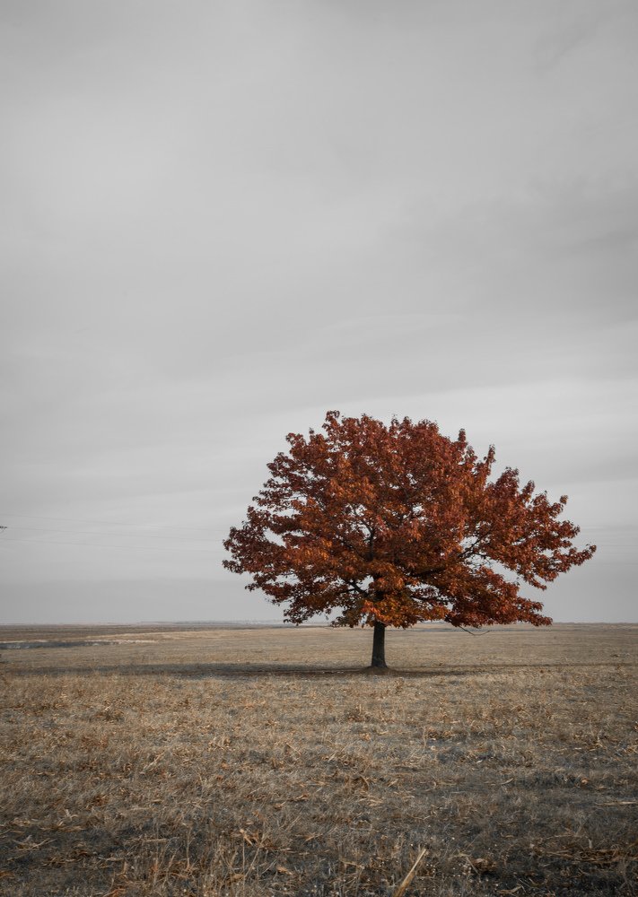 Фотография автора Konstantin Vladov