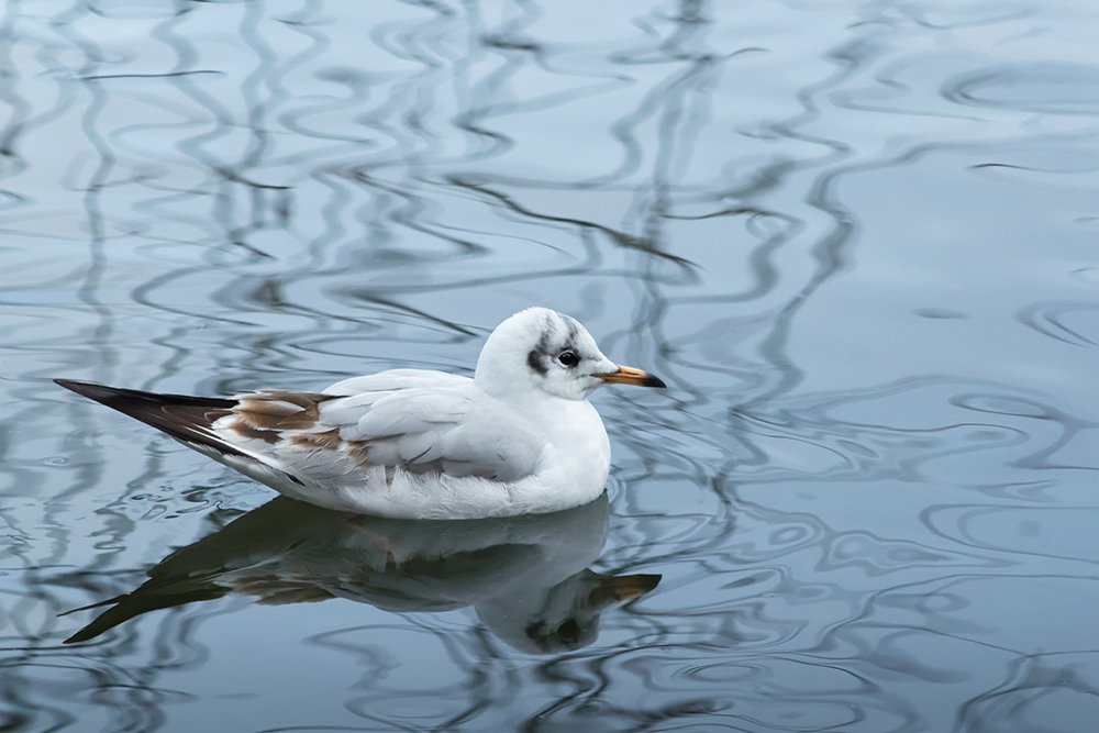 Photograph by Марина Хилько