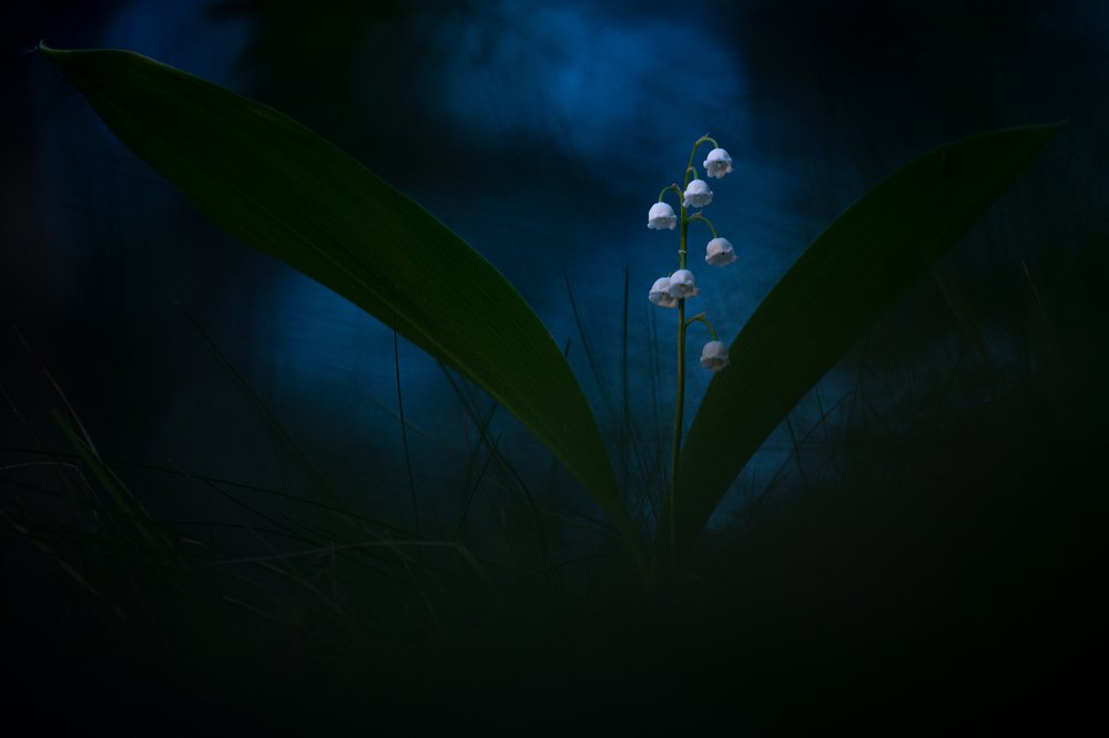 Photograph by Александр Иванов