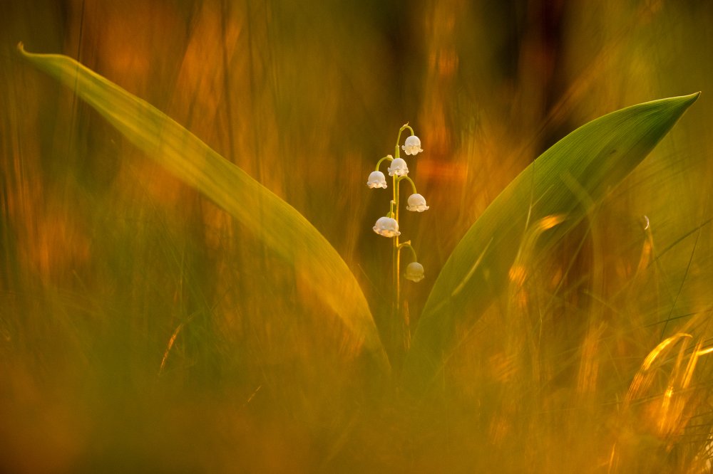 Photograph by Александр Иванов