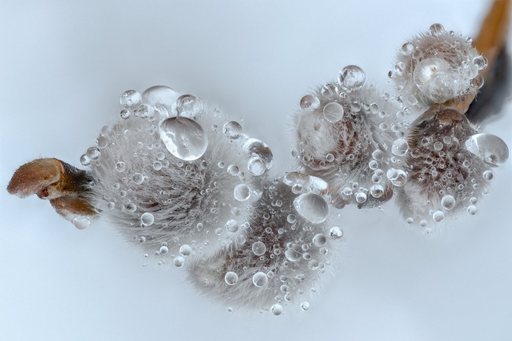 Photograph by Александр Иванов