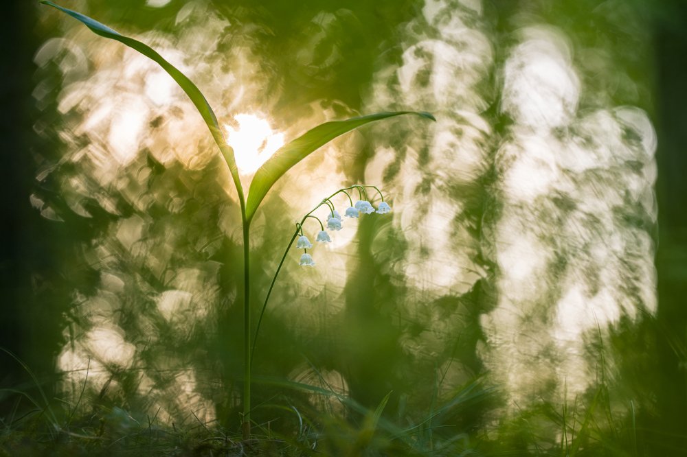 Photograph by Александр Иванов