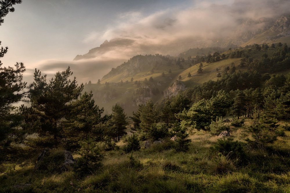 Photograph by Юрий Головченко