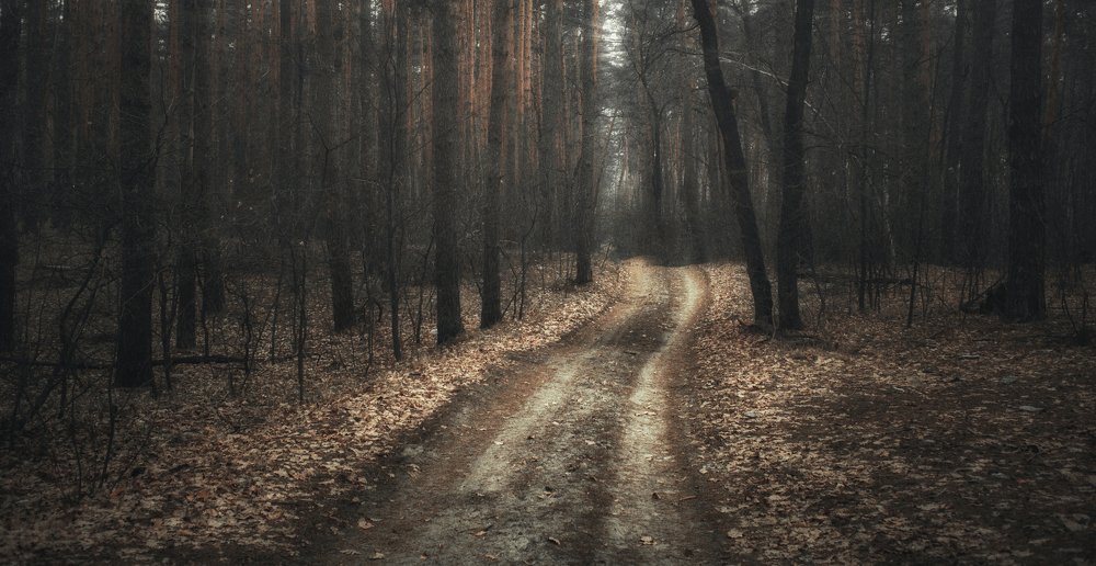 Photograph by логинов денис александрович