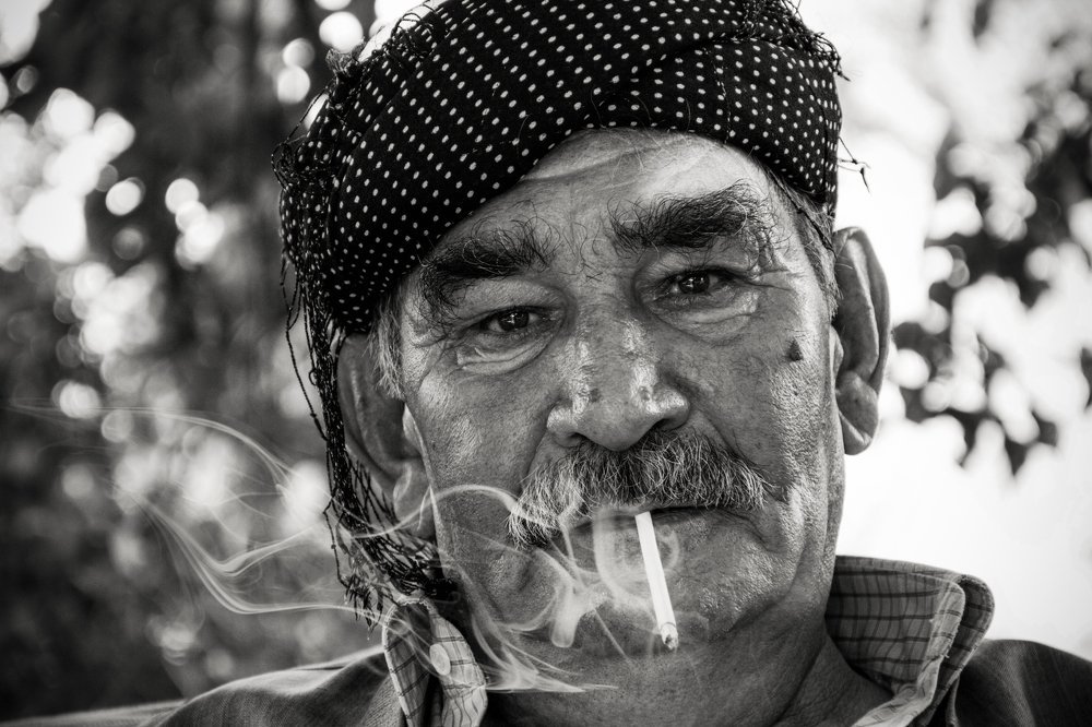 Photograph by bahar rismani