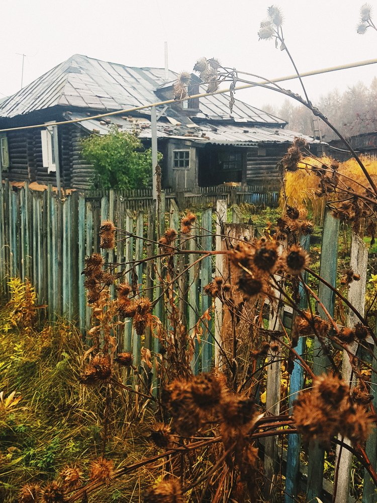 Деревенские зарисовки.