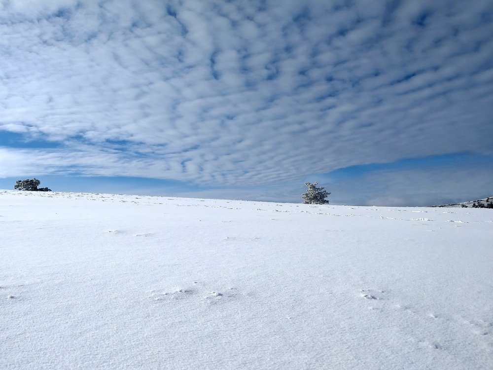 Photograph by Oksana