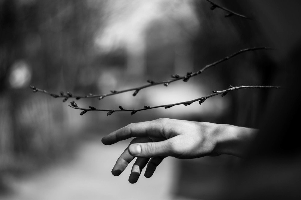 Photograph by Миленькая Наталья