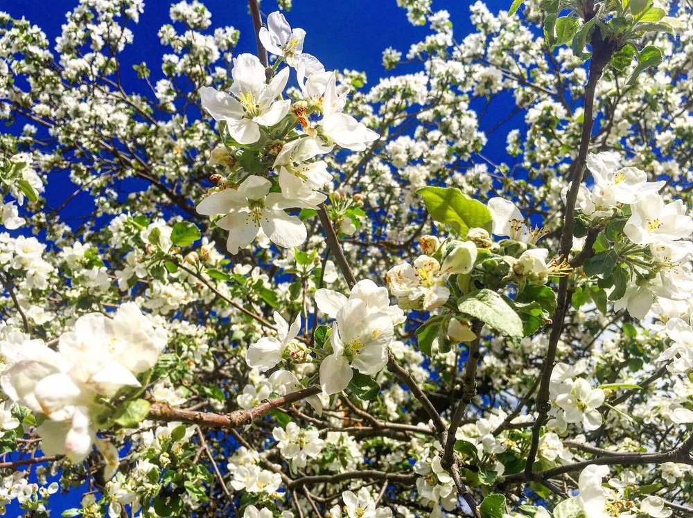 Photograph by Евгений