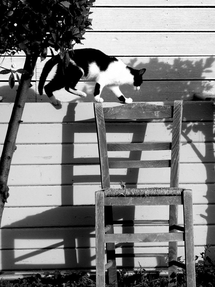 Photograph by Anastasios Tsoukalas