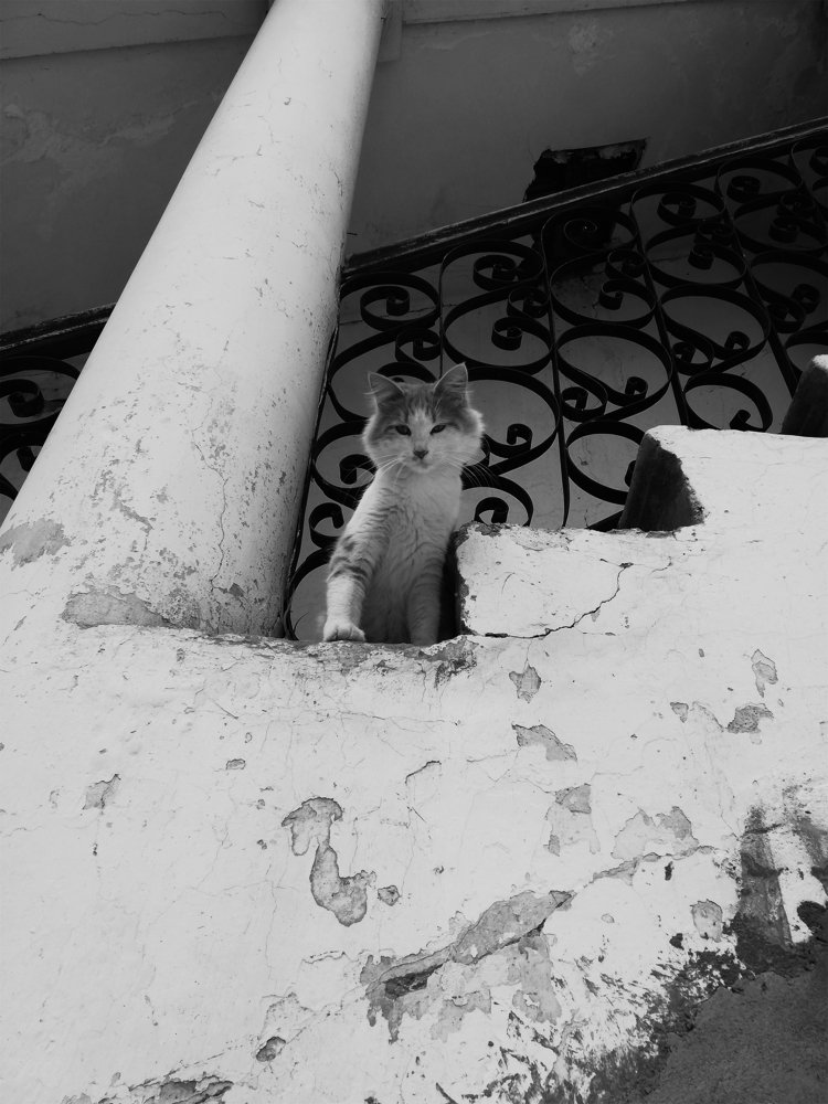 Photograph by Betzabe Liria Vargas Velasquez