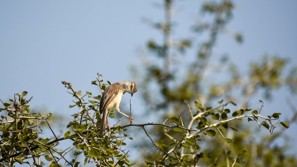 Photograph by Vineeth V V