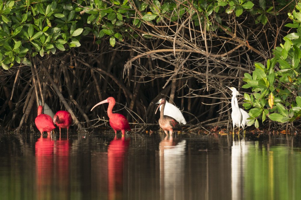 Photograph by Marcia Paul-Assing