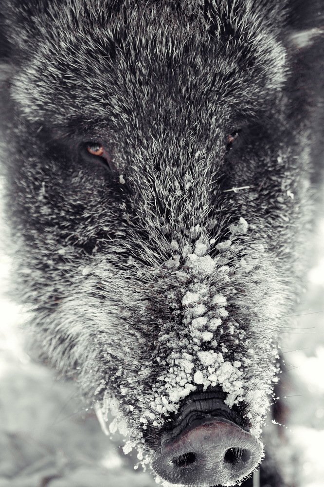 Photograph by Андрей Чевтаев