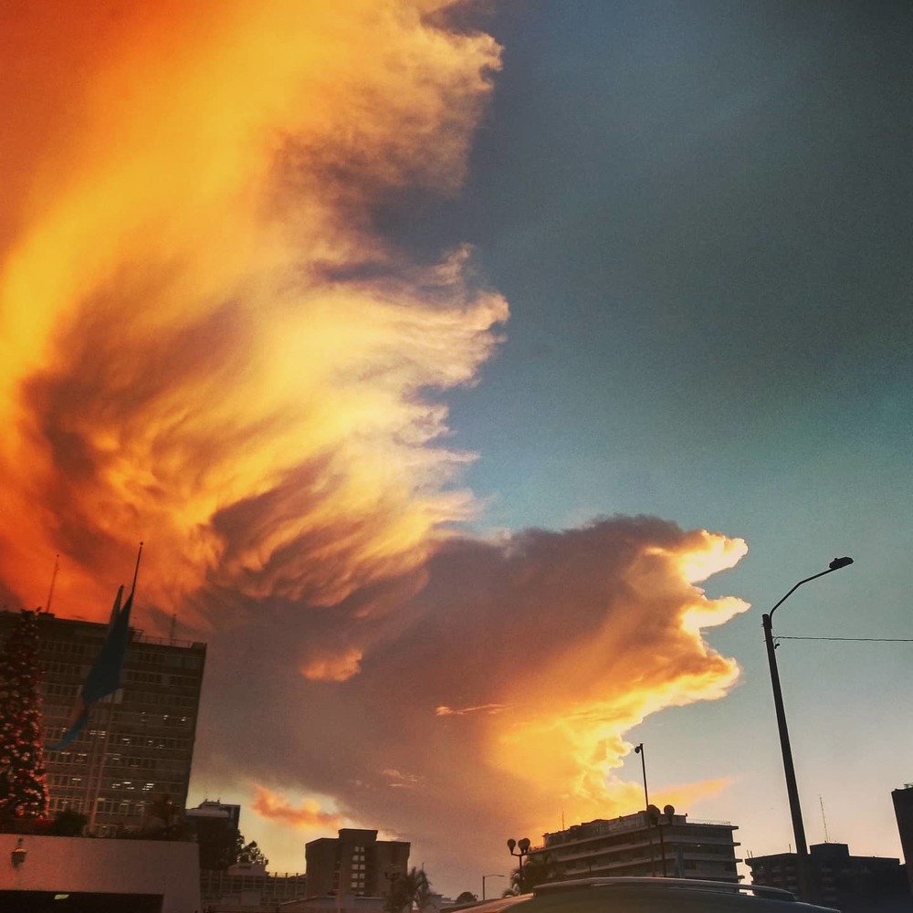 Photograph by Daniel Hernández